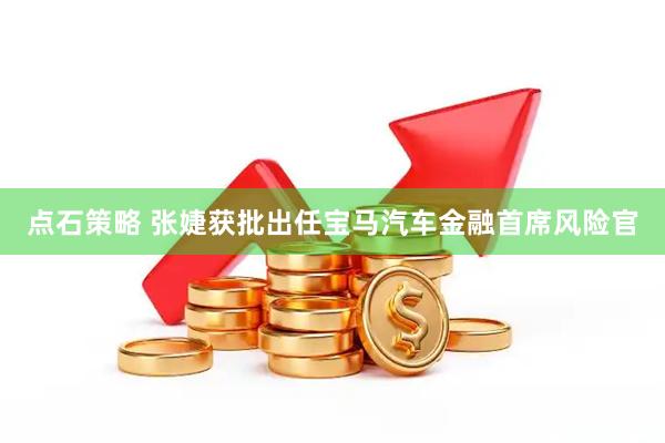 点石策略 张婕获批出任宝马汽车金融首席风险官