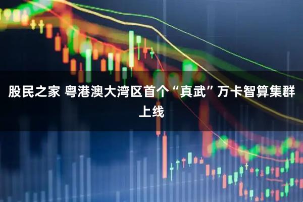 股民之家 粤港澳大湾区首个“真武”万卡智算集群上线